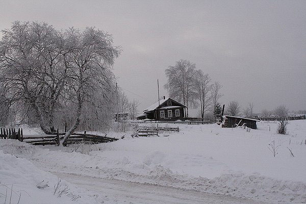 Деревня Куракино в Вологодской области